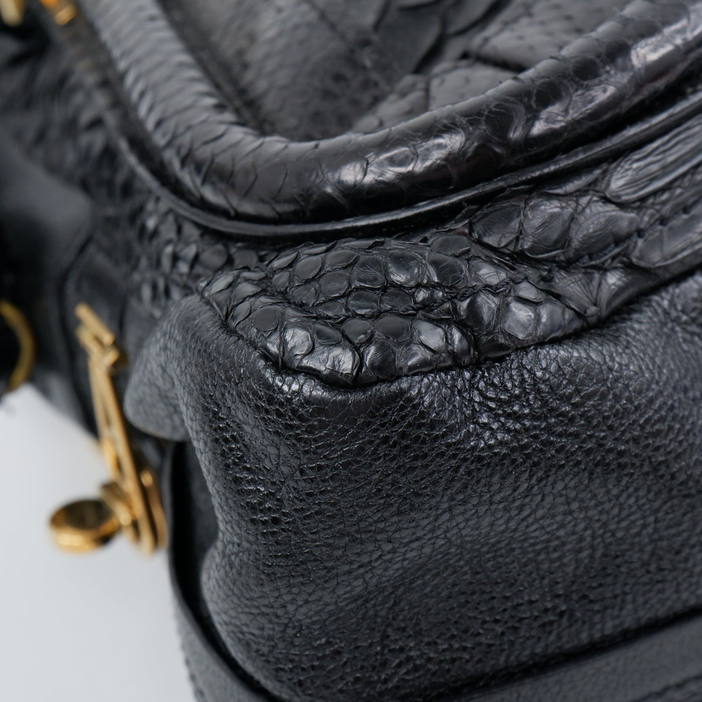 Chloe Paraty Python Medium Black